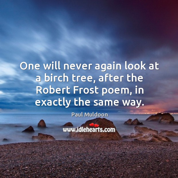 One will never again look at a birch tree, after the robert frost poem, in exactly the same way. Image