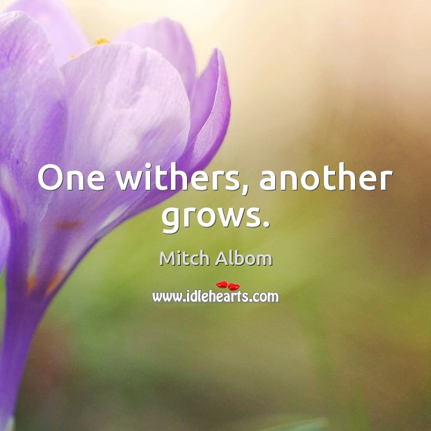 One withers, another grows. Mitch Albom Picture Quote