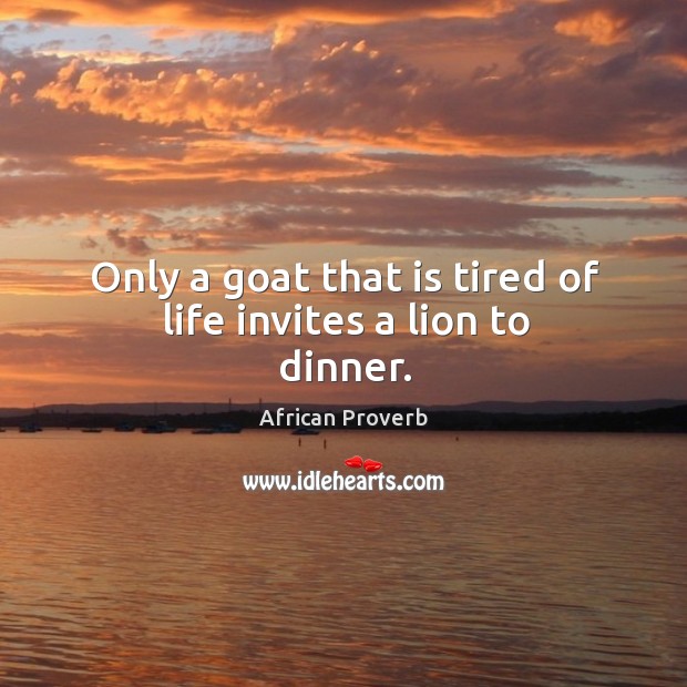 Only a goat that is tired of life invites a lion to dinner. Image