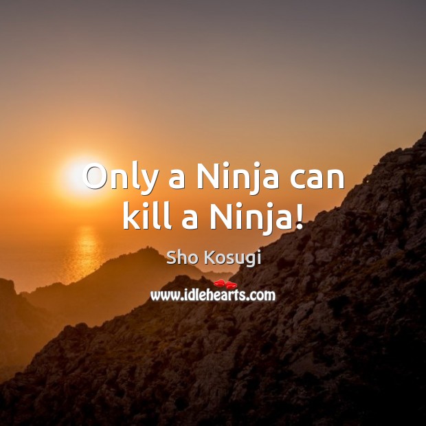 Only a Ninja can kill a Ninja! Image