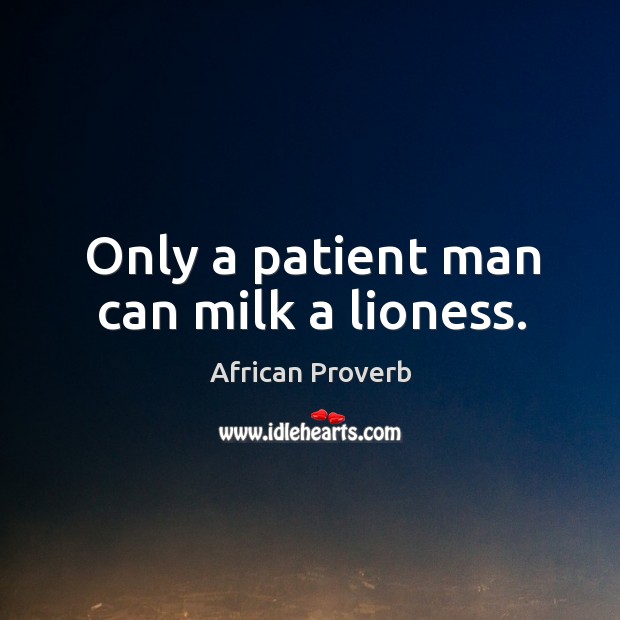 Only a patient man can milk a lioness. African Proverbs Image
