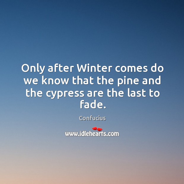 Only after Winter comes do we know that the pine and the cypress are the last to fade. Image