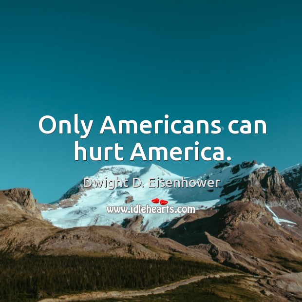 Only americans can hurt america. Image
