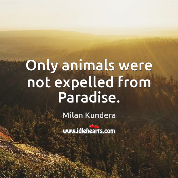 Only animals were not expelled from Paradise. Milan Kundera Picture Quote