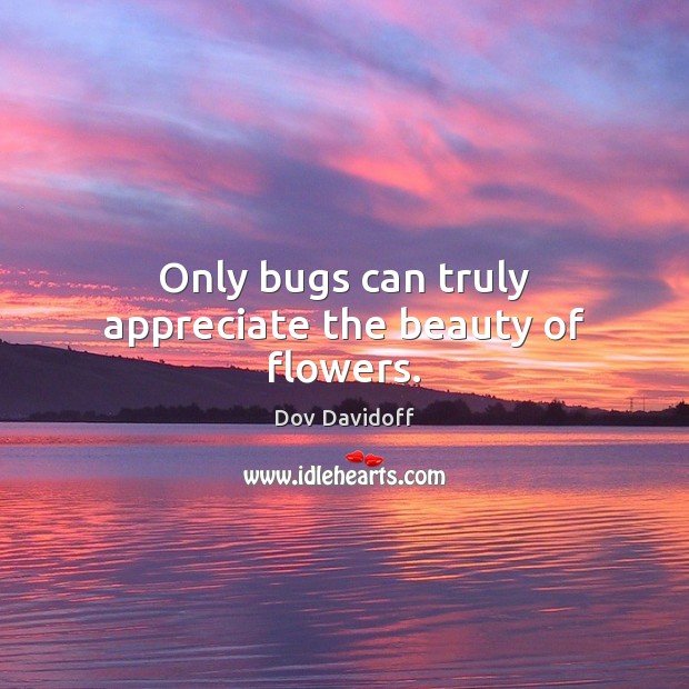Only bugs can truly appreciate the beauty of flowers. Dov Davidoff Picture Quote