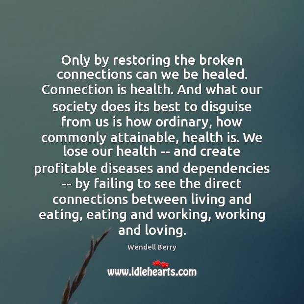 Only by restoring the broken connections can we be healed. Connection is Wendell Berry Picture Quote