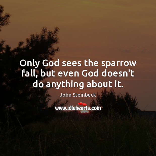 Only God sees the sparrow fall, but even God doesn’t do anything about it. John Steinbeck Picture Quote