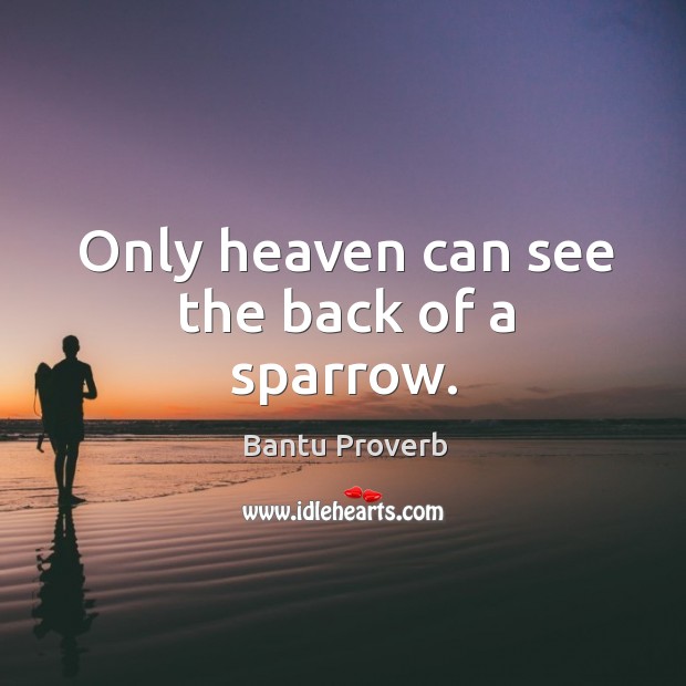 Only heaven can see the back of a sparrow. Bantu Proverbs Image