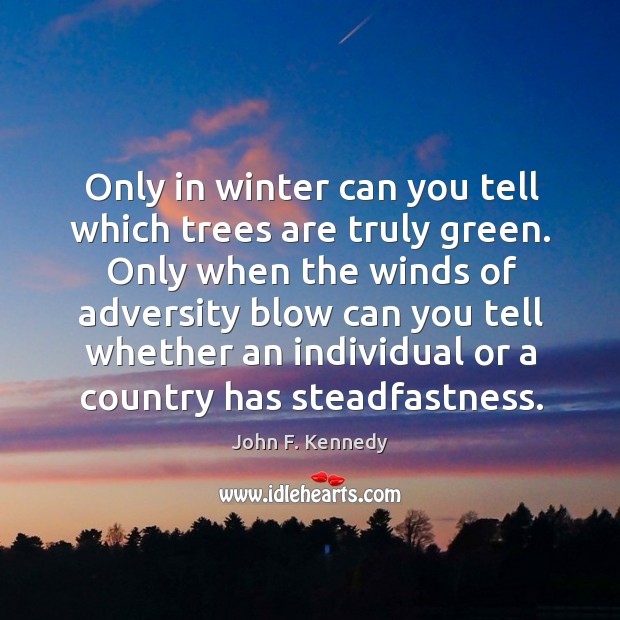 Only in winter can you tell which trees are truly green. Only Image
