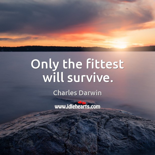 Only the fittest will survive. Charles Darwin Picture Quote