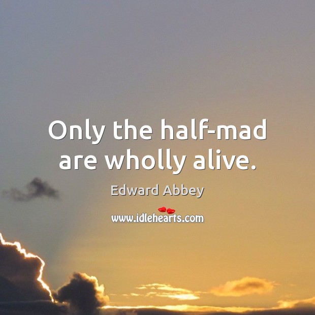 Only the half-mad are wholly alive. Edward Abbey Picture Quote