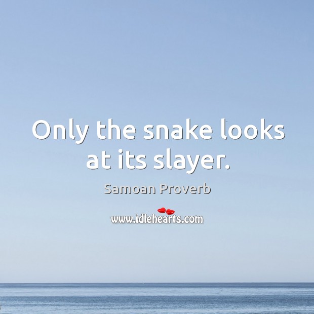 Only the snake looks at its slayer. Samoan Proverbs Image
