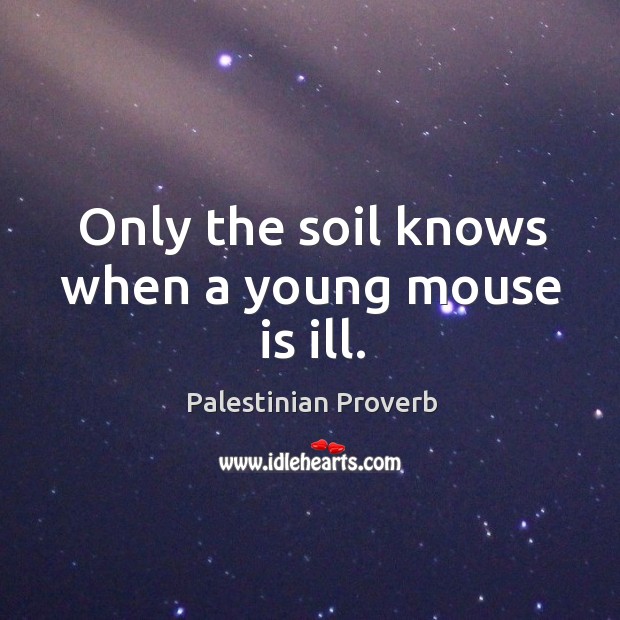 Only the soil knows when a young mouse is ill. Palestinian Proverbs Image