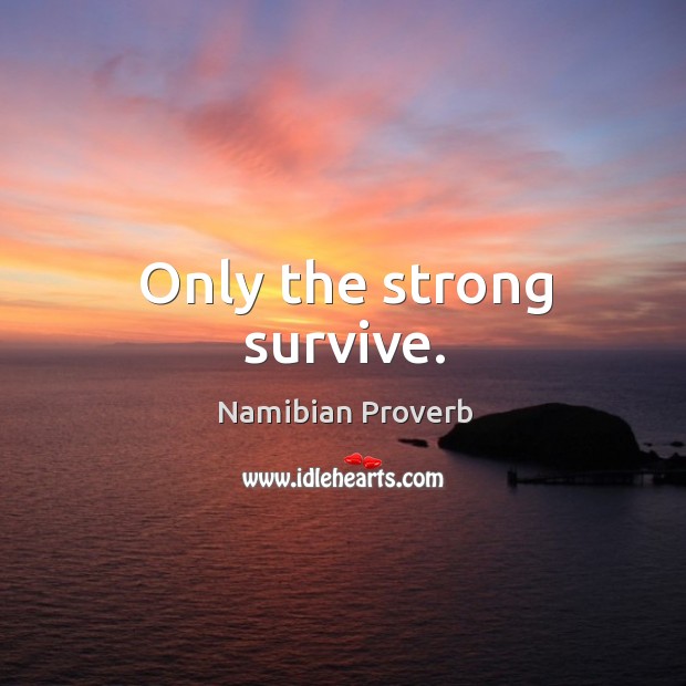 Only the strong survive. Namibian Proverbs Image