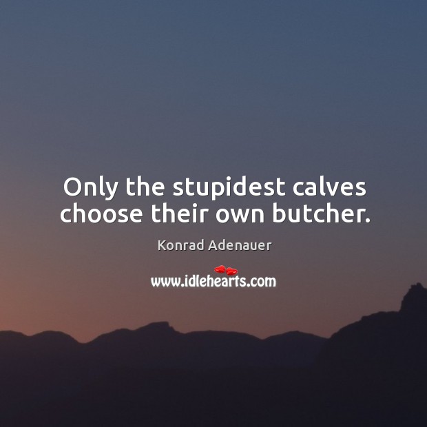 Only the stupidest calves choose their own butcher. Konrad Adenauer Picture Quote