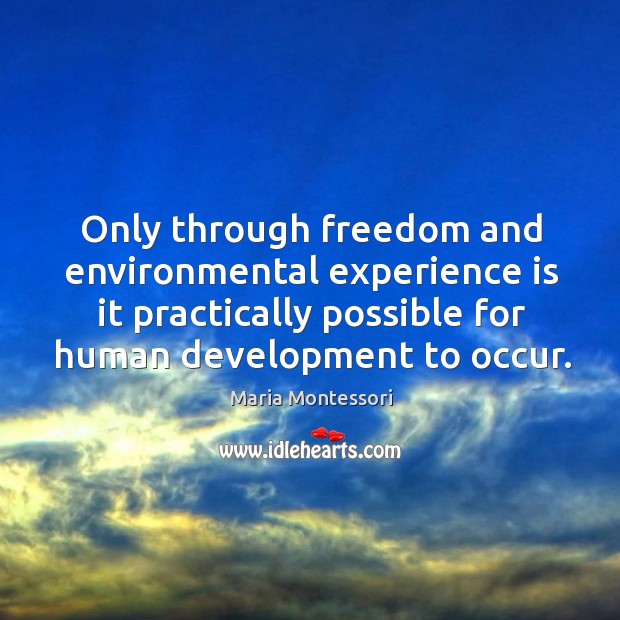 Only through freedom and environmental experience is it practically possible for human Experience Quotes Image