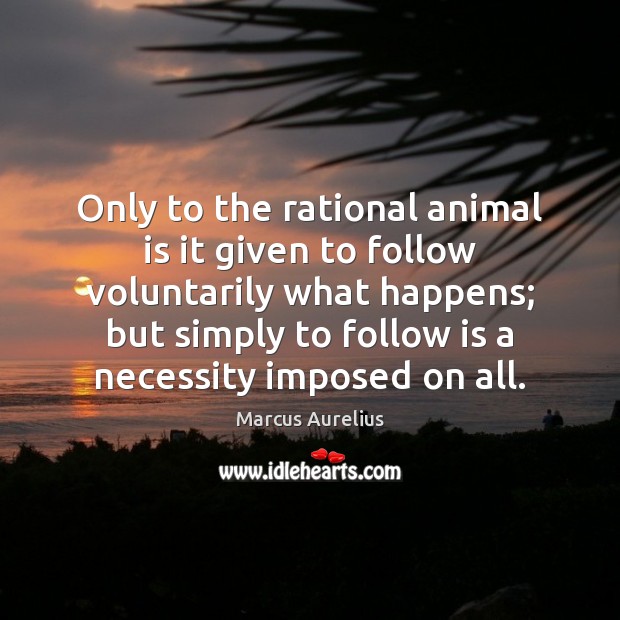 Only to the rational animal is it given to follow voluntarily what Marcus Aurelius Picture Quote