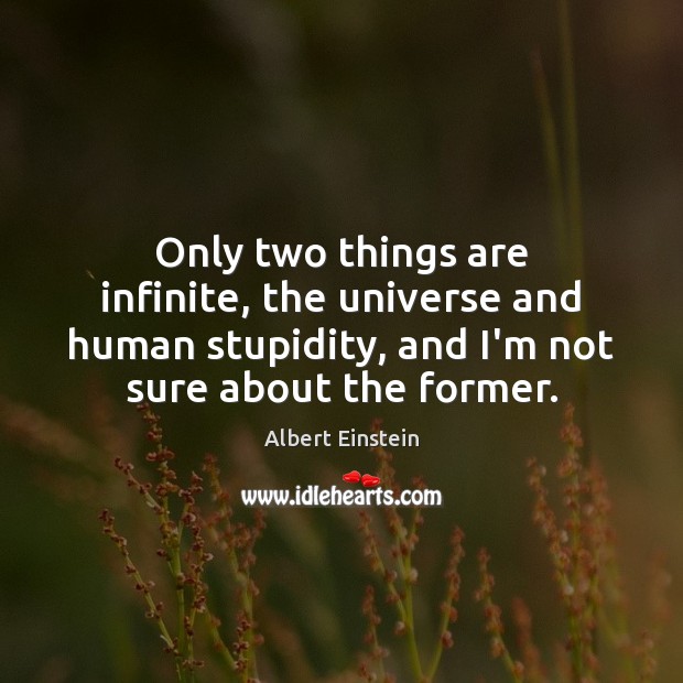 Only two things are infinite, the universe and human stupidity, and I’m Image