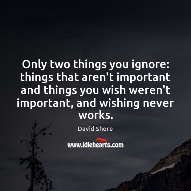 Only two things you ignore: things that aren’t important and things you David Shore Picture Quote