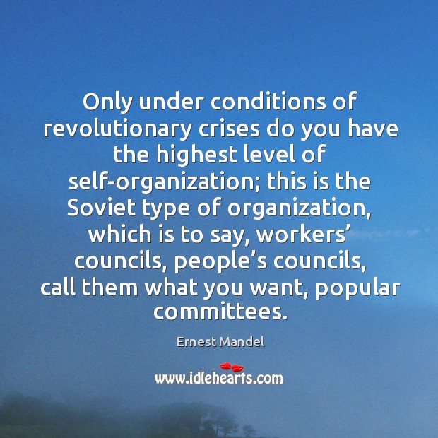 Only under conditions of revolutionary crises do you have the highest level of self-organization Ernest Mandel Picture Quote