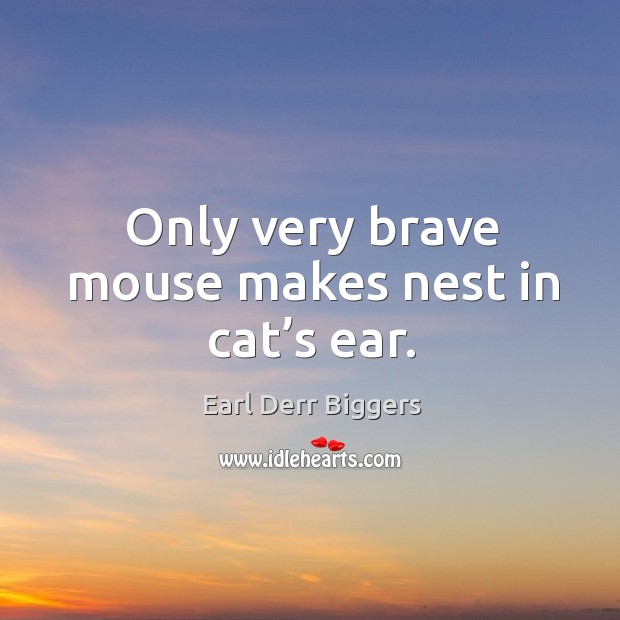 Only very brave mouse makes nest in cat’s ear. Earl Derr Biggers Picture Quote