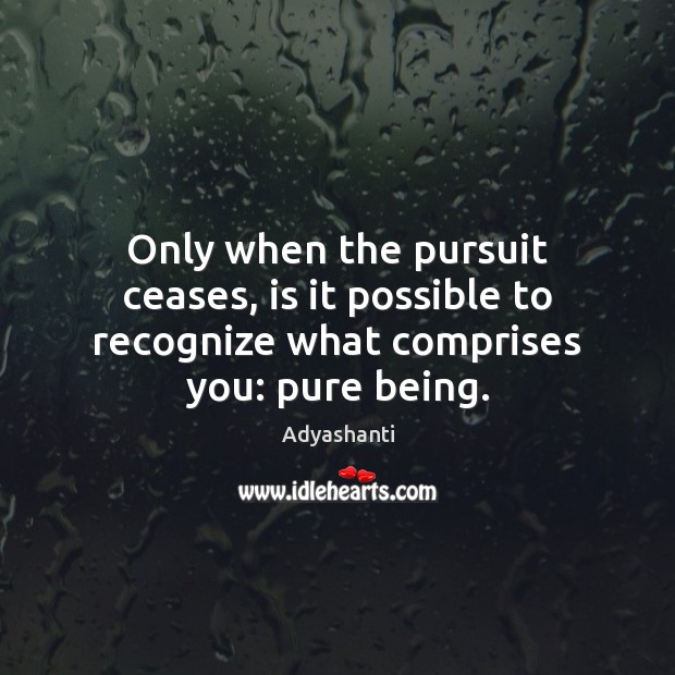Only when the pursuit ceases, is it possible to recognize what comprises you: pure being. Adyashanti Picture Quote