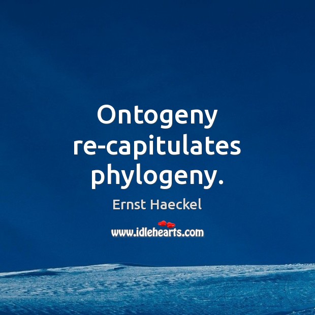Ontogeny re-capitulates phylogeny. Ernst Haeckel Picture Quote