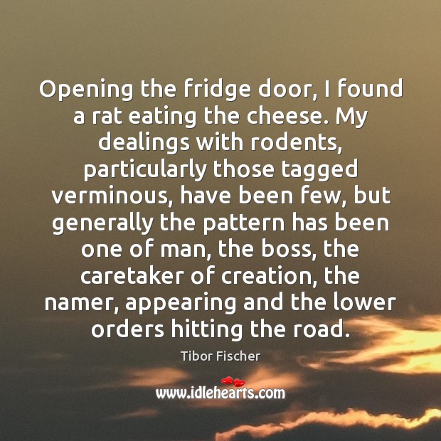 Opening the fridge door, I found a rat eating the cheese. My Tibor Fischer Picture Quote
