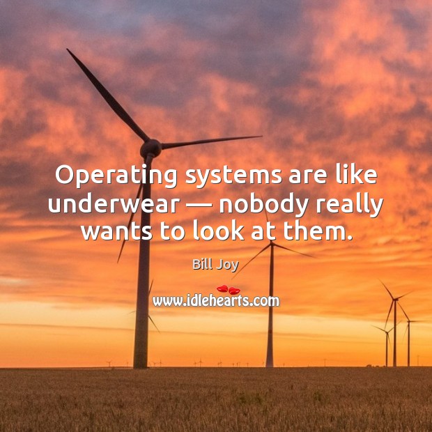 Operating systems are like underwear — nobody really wants to look at them. Bill Joy Picture Quote