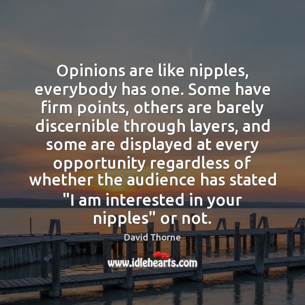 Opinions are like nipples, everybody has one. Some have firm points, others David Thorne Picture Quote