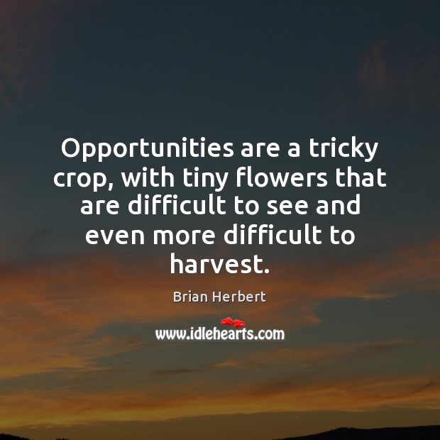 Opportunities are a tricky crop, with tiny flowers that are difficult to Brian Herbert Picture Quote