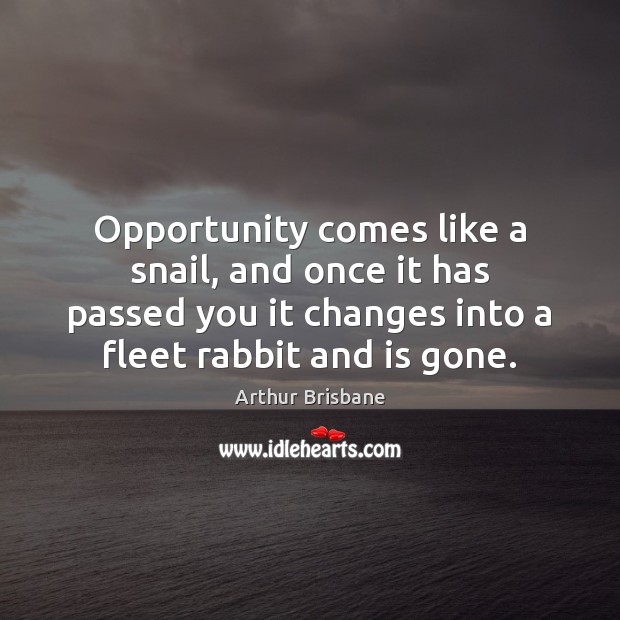 Opportunity comes like a snail, and once it has passed you it Opportunity Quotes Image