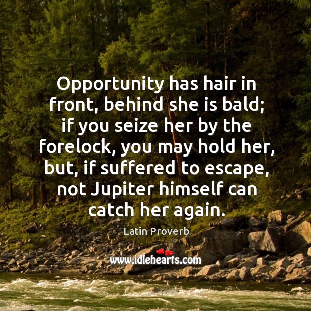 Opportunity has hair in front, behind she is bald. Latin Proverbs Image