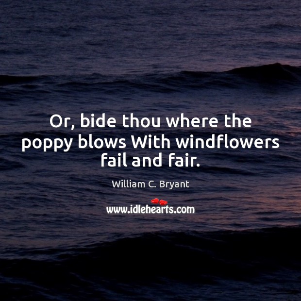 Or, bide thou where the poppy blows With windflowers fail and fair. William C. Bryant Picture Quote