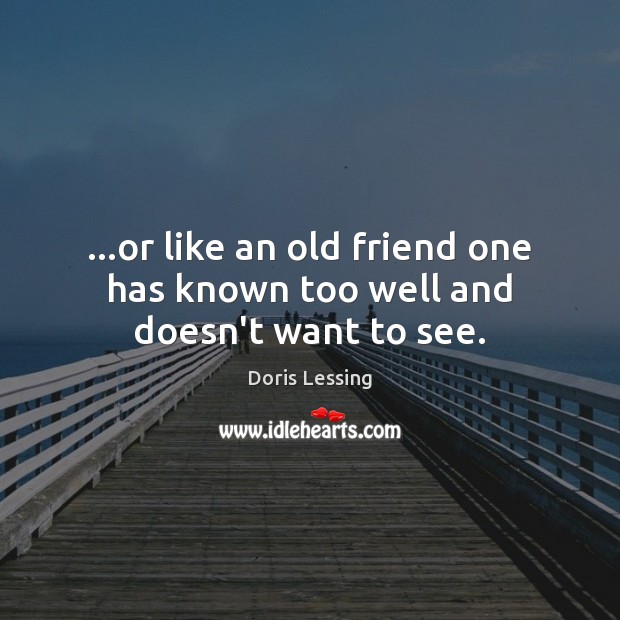 …or like an old friend one has known too well and doesn’t want to see. Doris Lessing Picture Quote