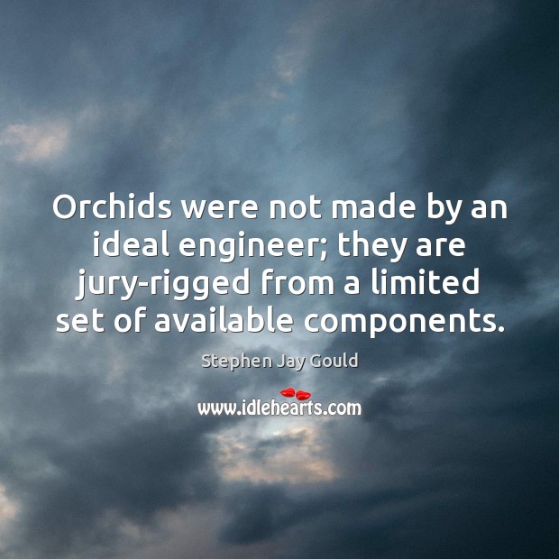 Orchids were not made by an ideal engineer; they are jury-rigged from Stephen Jay Gould Picture Quote