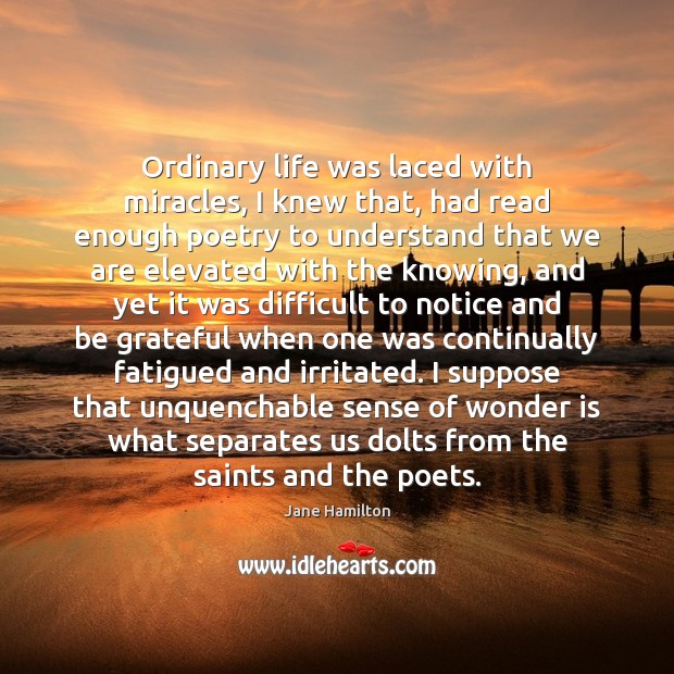 Ordinary life was laced with miracles, I knew that, had read enough Be Grateful Quotes Image