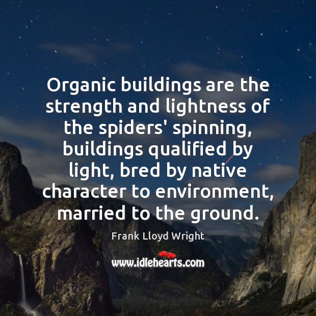 Organic buildings are the strength and lightness of the spiders’ spinning, buildings Image