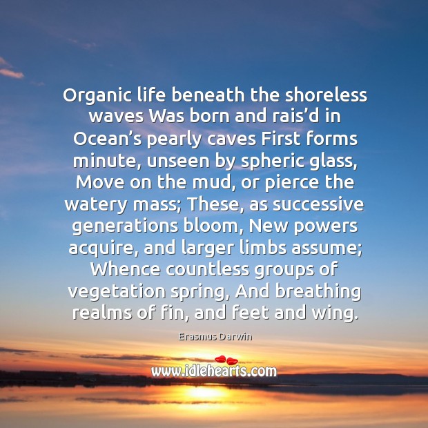 Organic life beneath the shoreless waves Was born and rais’d in Erasmus Darwin Picture Quote