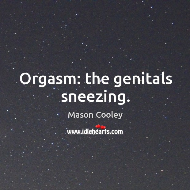 Orgasm: the genitals sneezing. Mason Cooley Picture Quote