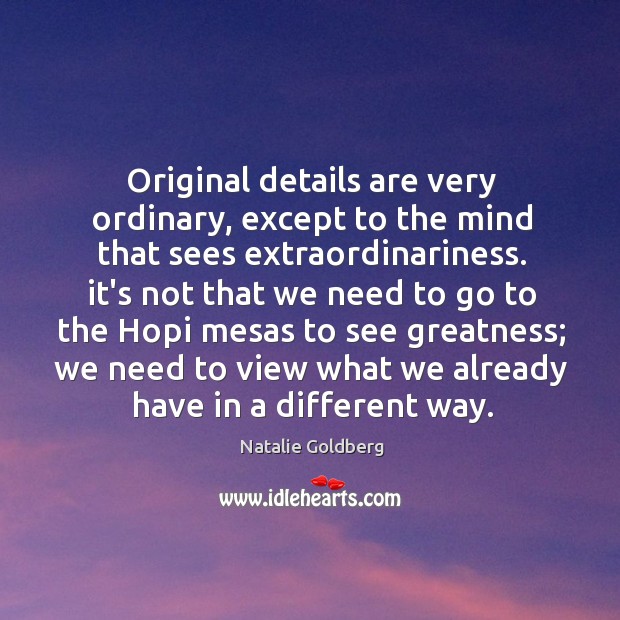 Original details are very ordinary, except to the mind that sees extraordinariness. Natalie Goldberg Picture Quote