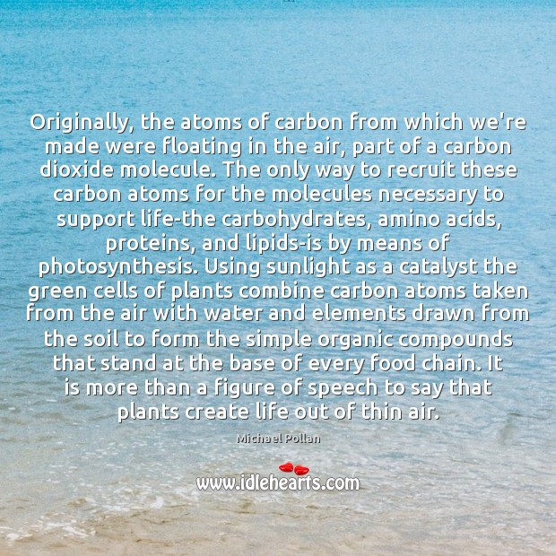 Originally, the atoms of carbon from which we’re made were floating in Image