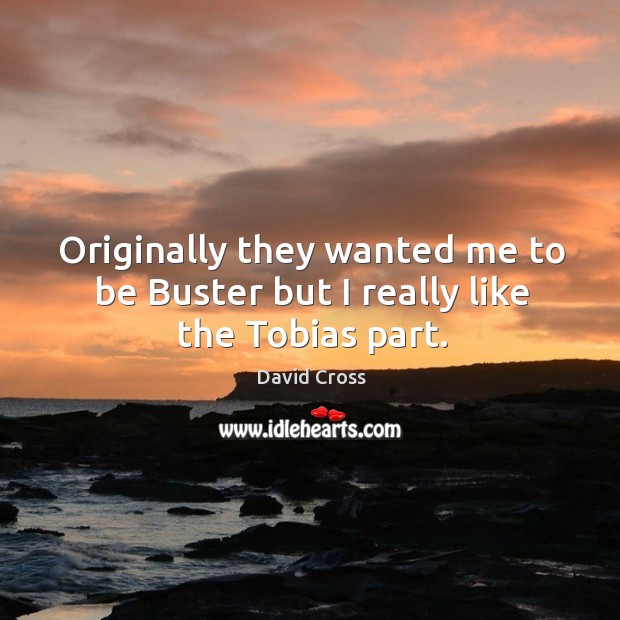 Originally they wanted me to be buster but I really like the tobias part. David Cross Picture Quote