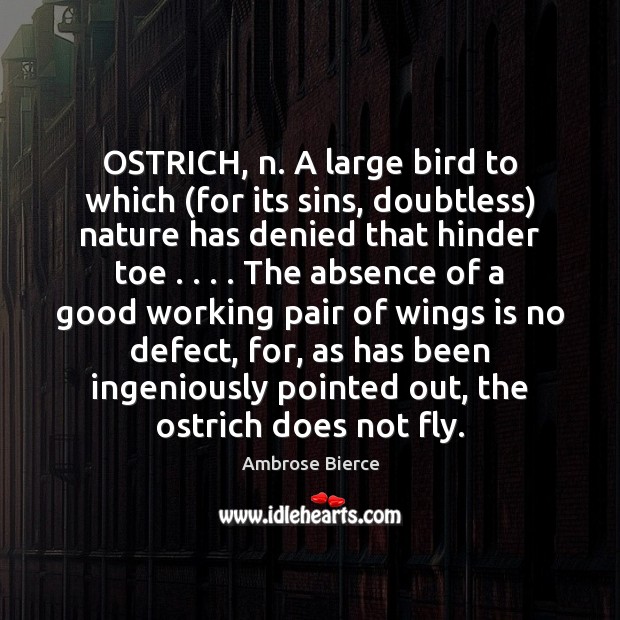OSTRICH, n. A large bird to which (for its sins, doubtless) nature Ambrose Bierce Picture Quote
