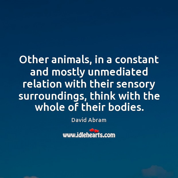 Other animals, in a constant and mostly unmediated relation with their sensory 