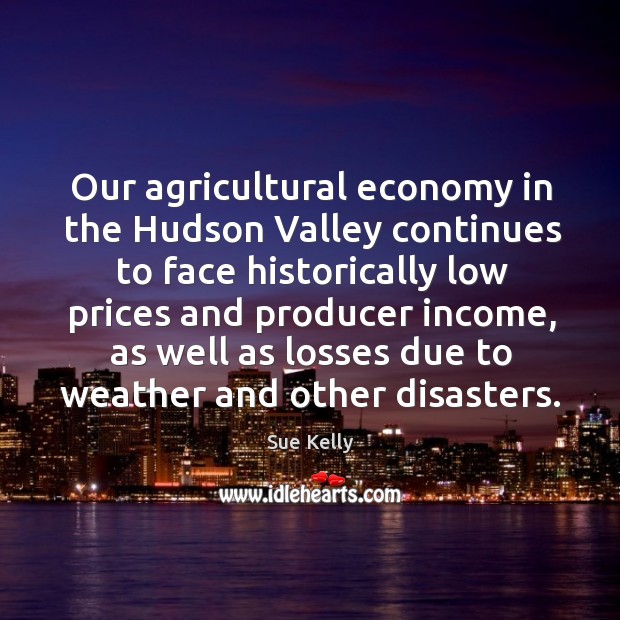 Our agricultural economy in the hudson valley continues to face historically low prices Sue Kelly Picture Quote