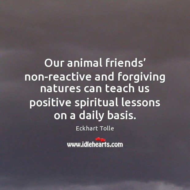 Our animal friends’ non-reactive and forgiving natures can teach us positive spiritual Eckhart Tolle Picture Quote