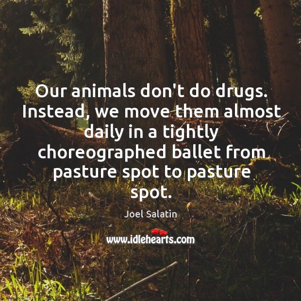 Our animals don’t do drugs. Instead, we move them almost daily in Joel Salatin Picture Quote