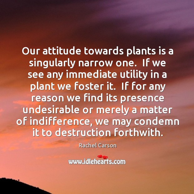 Our attitude towards plants is a singularly narrow one.  If we see Rachel Carson Picture Quote