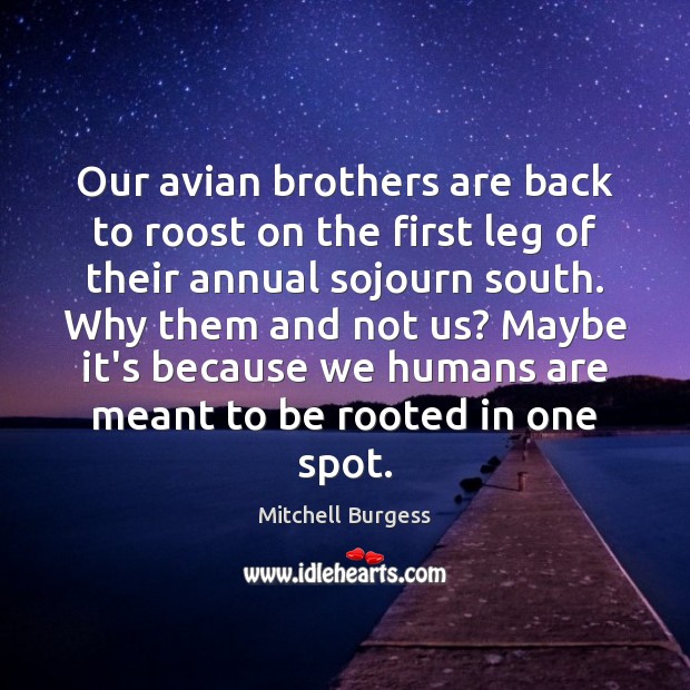 Our avian brothers are back to roost on the first leg of Mitchell Burgess Picture Quote